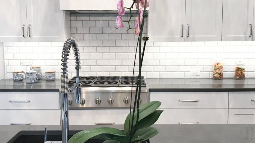 an orchid flower is sitting on the kitchen counter. There's an island with a sink in the foreground, and a counter stovetop in the background with an exhaust hood over it